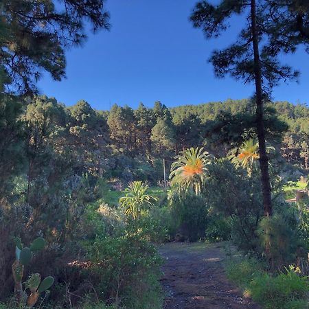 Monte Frio De Tenerife Ла-Гуанча Экстерьер фото