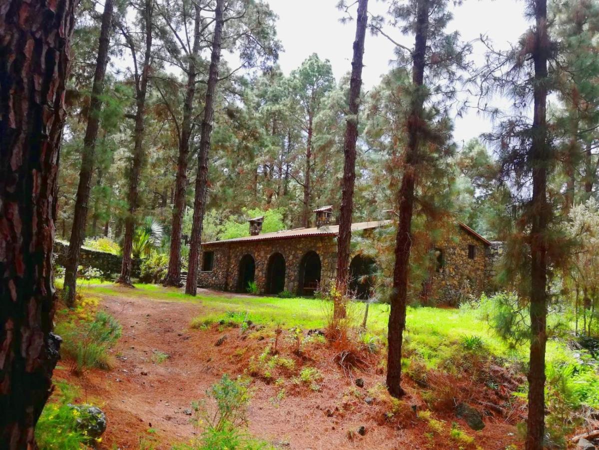 Monte Frio De Tenerife Ла-Гуанча Экстерьер фото