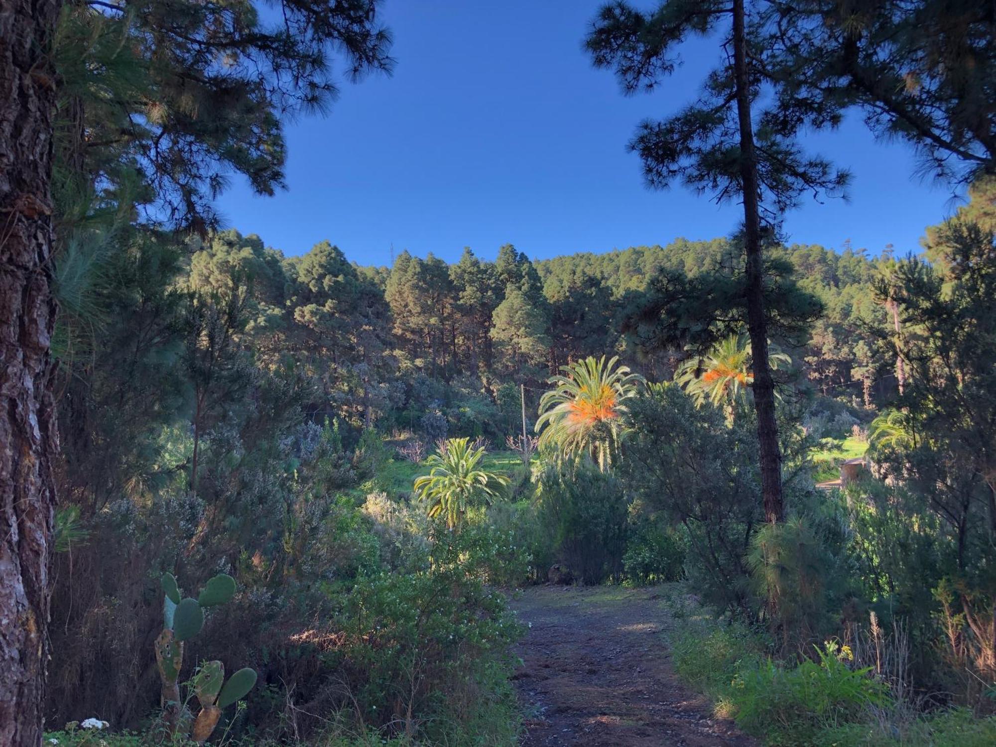 Monte Frio De Tenerife Ла-Гуанча Экстерьер фото